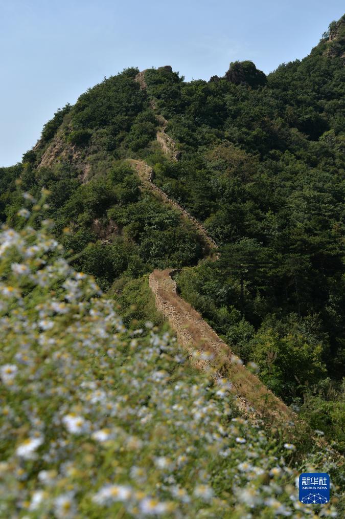 破解老虎机